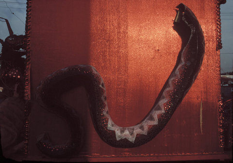 (c) Miguel Rio Branco / Magnum Photos