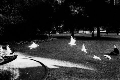 (c) Trent Parke / Magnum Photos