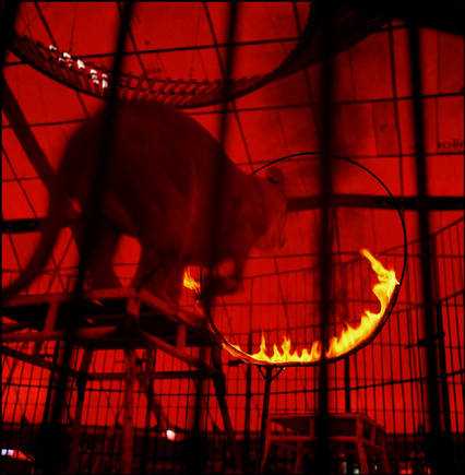 (c) Miguel Rio Branco / Magnum Photos