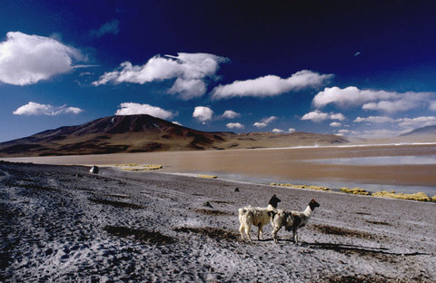 (c) Ferdinando Scianna / Magnum Photos