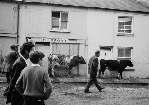 (c) Martin Parr / Magnum Photos