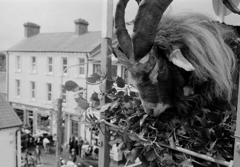 (c) Martin Parr / Magnum Photos