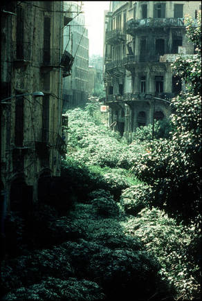 (c) Abbas / Magnum Photos