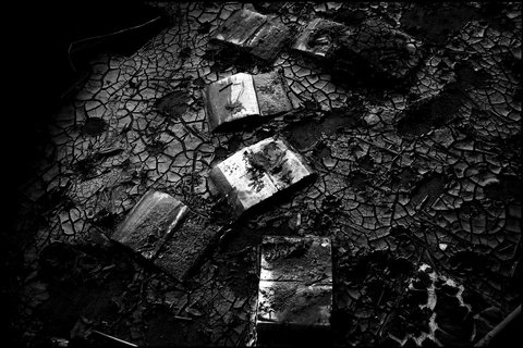 (c) Paolo Pellegrin / Magnum Photos