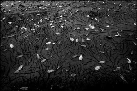 (c) Paolo Pellegrin / Magnum Photos