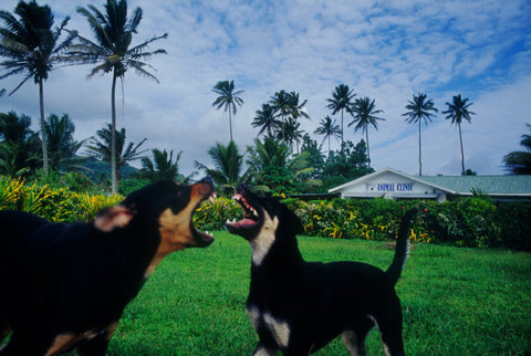 (c) Trent Parke / Magnum Photos