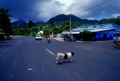 (c) Trent Parke / Magnum Photos