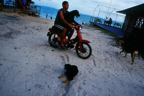(c) Trent Parke / Magnum Photos