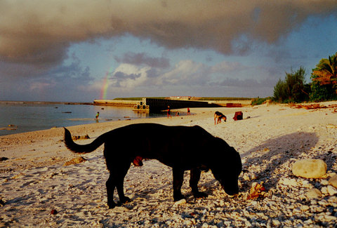 (c) Trent Parke / Magnum Photos