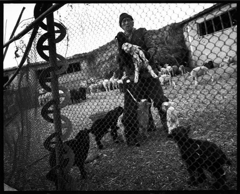 (c) Jean Gaumy / Magnum Photos