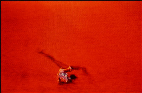 (c) Harry Gruyaert / Magnum Photos