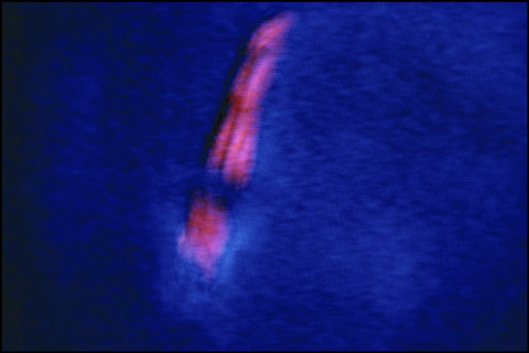 (c) Harry Gruyaert / Magnum Photos