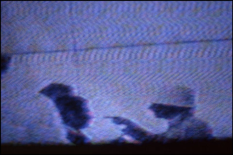 (c) Harry Gruyaert / Magnum Photos