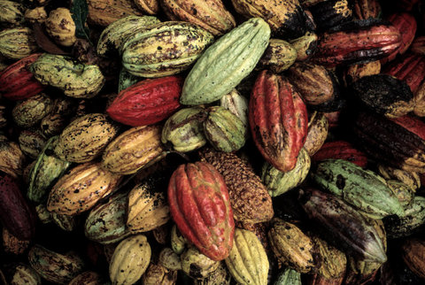 (c) Alex Webb / Magnum Photos