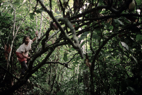 (c) Alex Webb / Magnum Photos