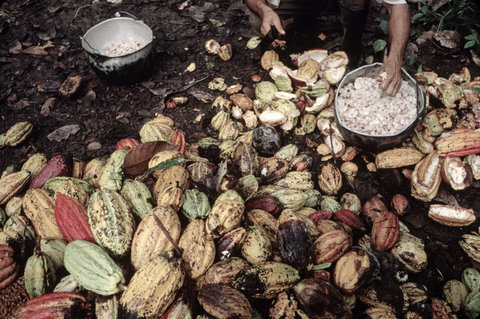 (c) Alex Webb / Magnum Photos