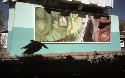 (c) Alex Webb / Magnum Photos