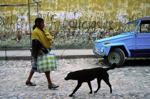 (c) David Alan Harvey / Magnum Photos