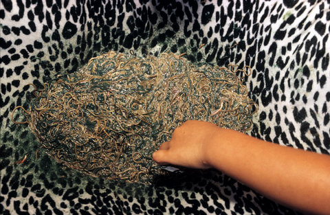 (c) Alex Webb / Magnum Photos