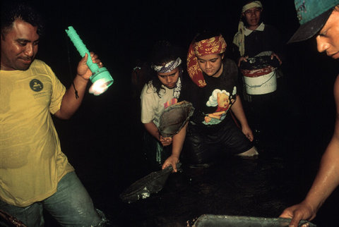 (c) Alex Webb / Magnum Photos