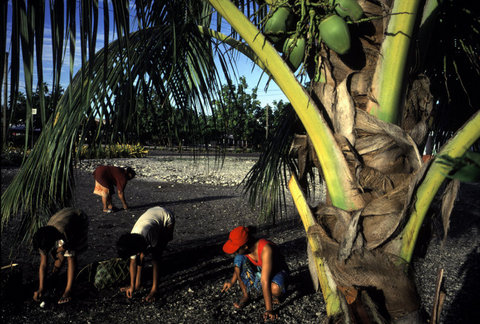(c) Alex Webb / Magnum Photos