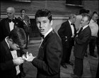 Tuxedo