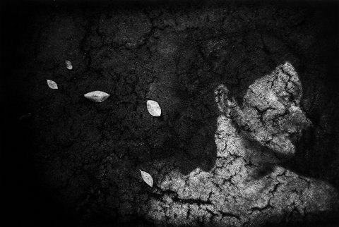 (c) Trent Parke / Magnum Photos