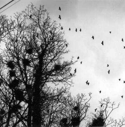 (c) Peter Marlow / Magnum Photos