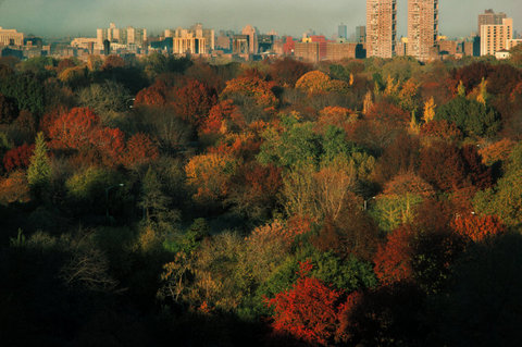 (c) Thomas Hoepker / Magnum Photos