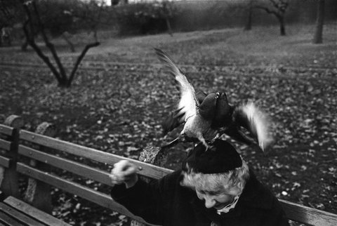 (c) Richard Kalvar / Magnum Photos