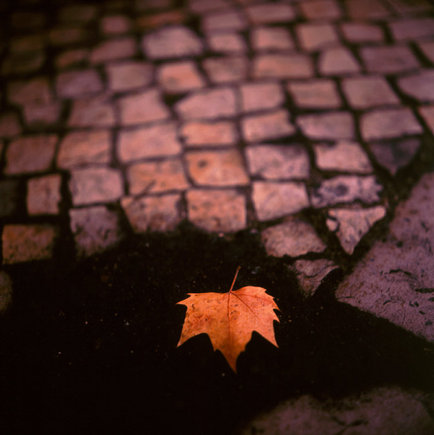 (c) Miguel Rio Branco / Magnum Photos