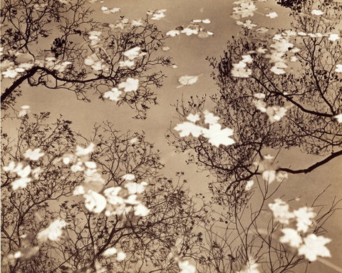 (c) Gueorgui Pinkhassov / Magnum Photos