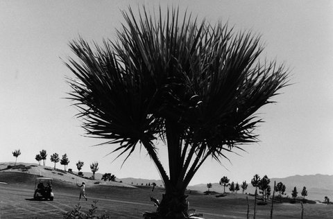 (c) Ilkka Uimonen / Magnum Photos