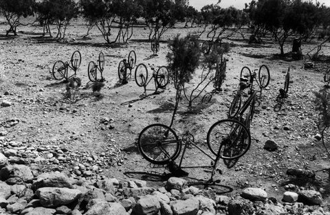 (c) Micha Bar Am / Magnum Photos