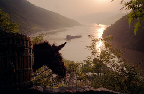 (c) Ian Berry / Magnum Photos