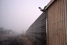 Zoom In: Borders