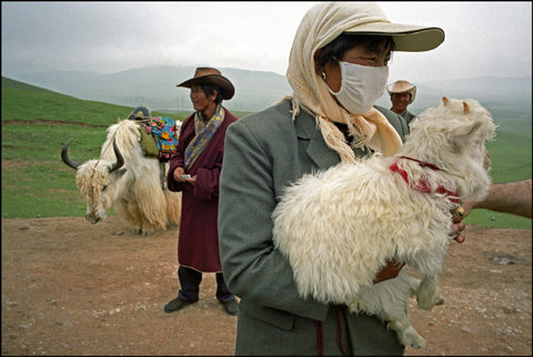 (c) Ian Berry / Magnum Photos