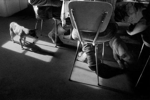 (c) Guy Le Querrec / Magnum Photos