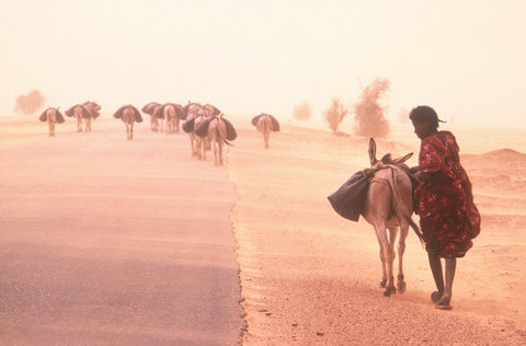 (c) Steve McCurry / Magnum Photos