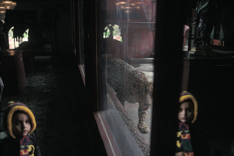 (c) Alex Webb / Magnum Photos