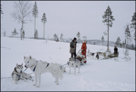 (c) Harry Gruyaert / Magnum Photos