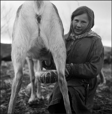 (c) Werner Bischof / Magnum Photos