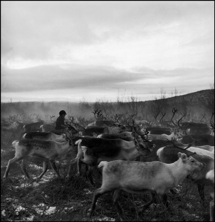 (c) Werner Bischof / Magnum Photos