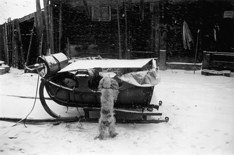 (c) Stuart Franklin / Magnum Photos