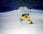 Winter Sports
