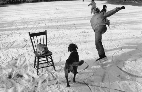 (c) Larry Towell / Magnum Photos
