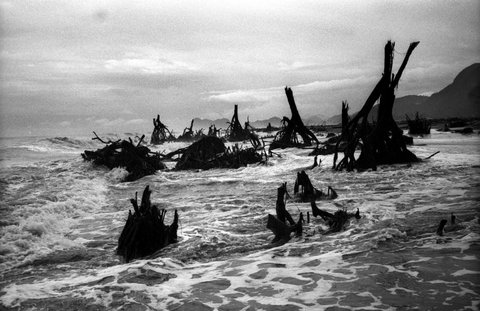 (c) Geert van Kesteren / Magnum Photos