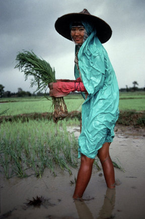 (c) Steve McCurry / Magnum Photos