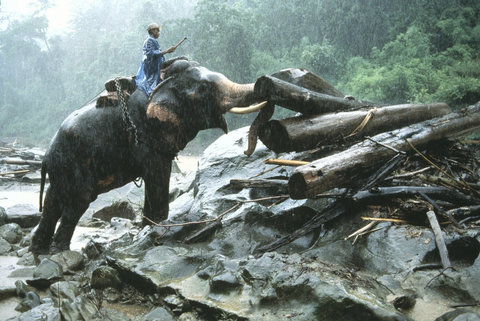 (c) Steve McCurry / Magnum Photos