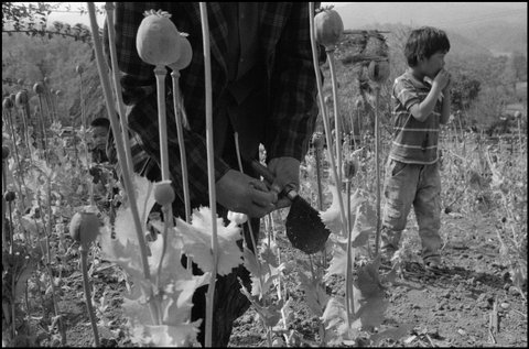 (c) John Vink / Magnum Photos